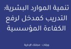 تنمية الموارد البشرية: التدريب كمدخل لرفع الكفاءة المؤسسية