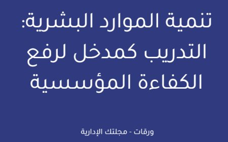 تنمية الموارد البشرية: التدريب كمدخل لرفع الكفاءة المؤسسية