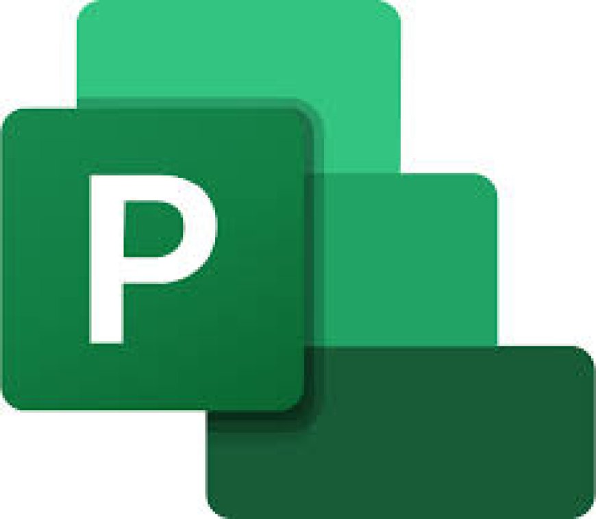 Microsoft Project: الحل الكلاسيكي للمشاريع المعقدة